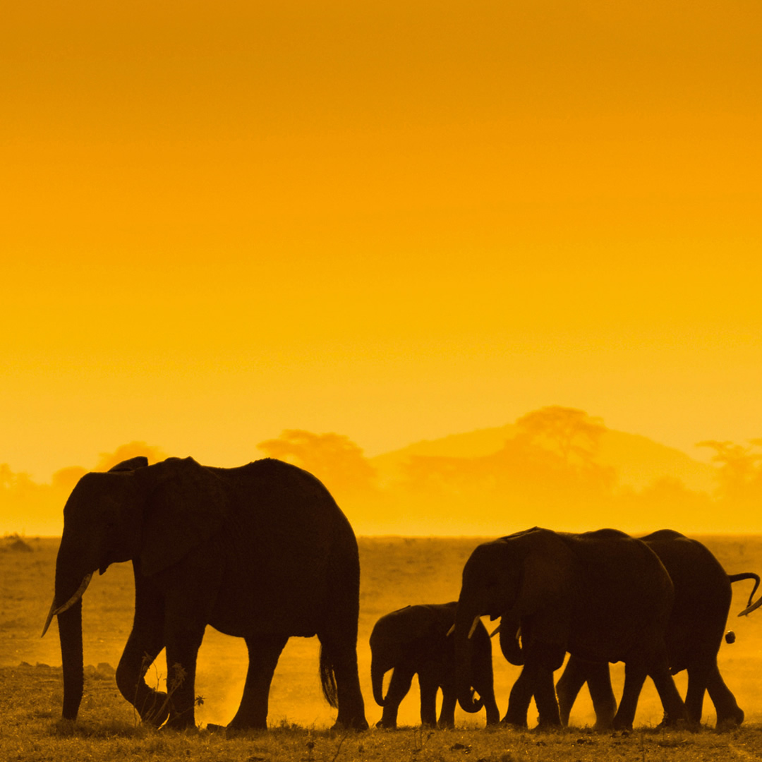 top destinations kenya top destinations kenya