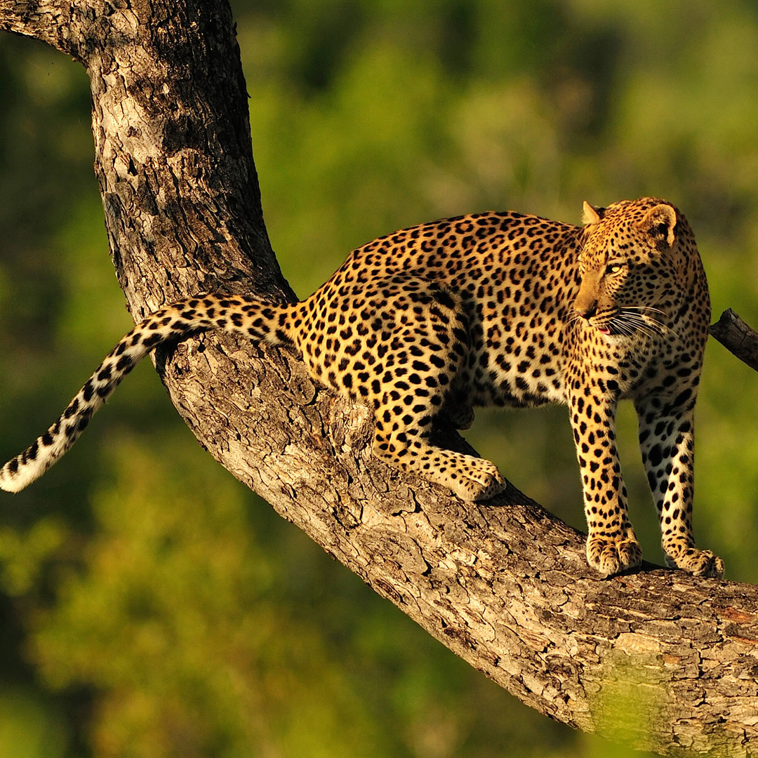 top destinations tanzania top destinations tanzania
