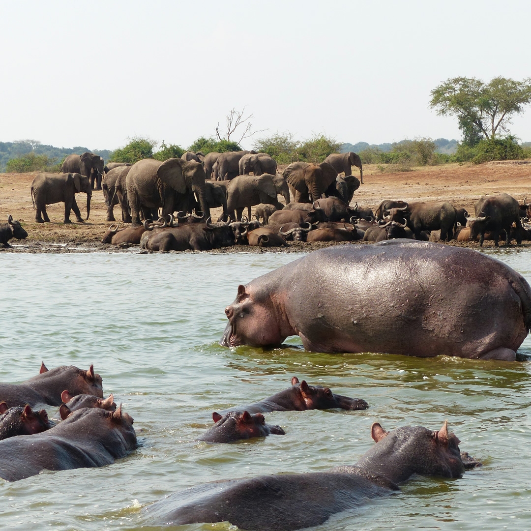 top destinations uganda top destinations uganda
